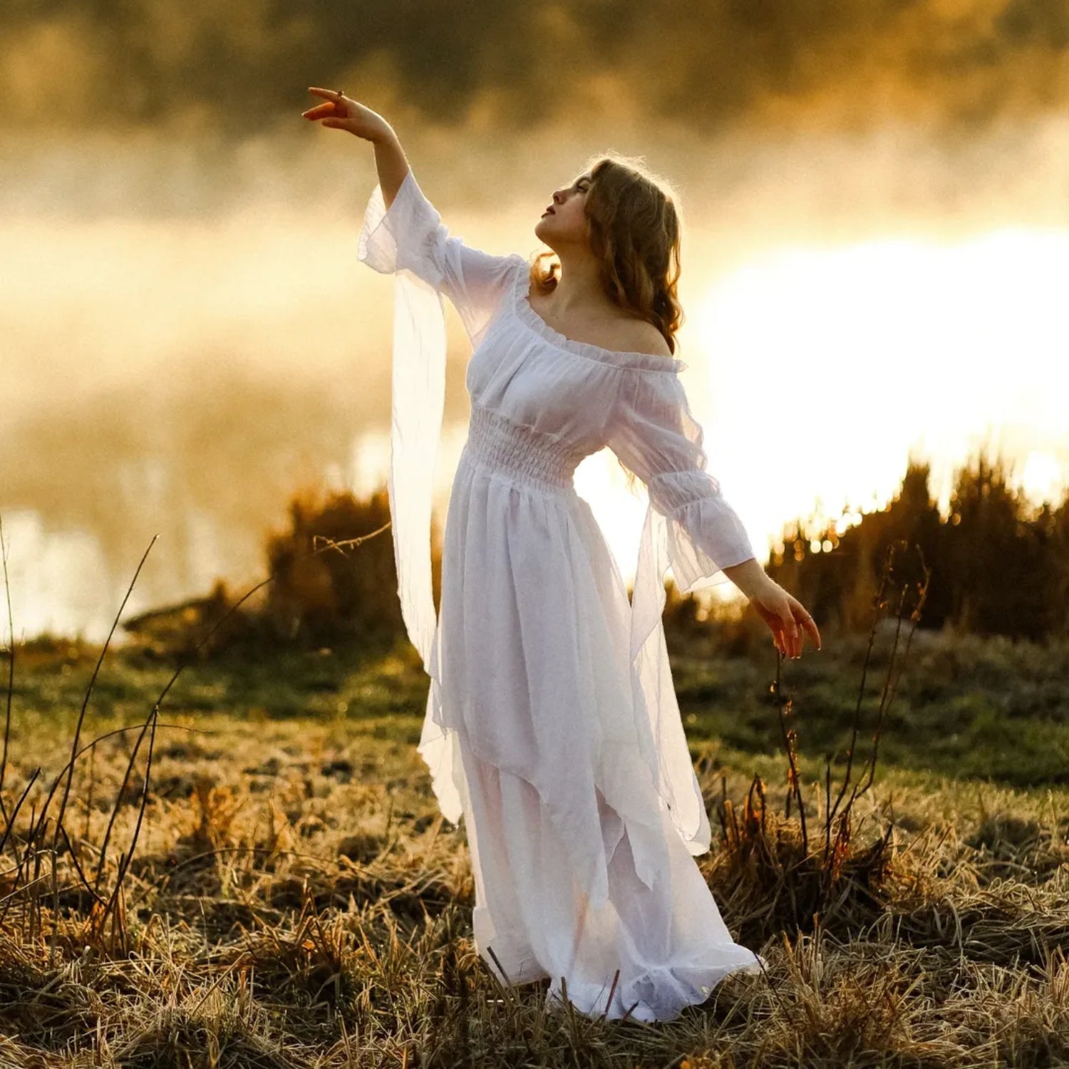 Renaissance Style Off Shoulder Long Dress