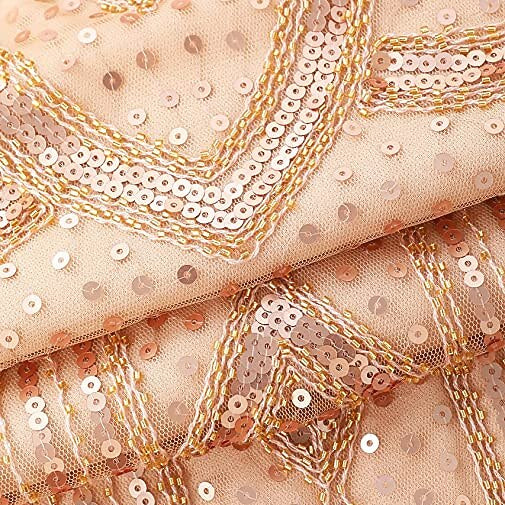 Sequin Tassel Trim Flapper Dress with ACCs