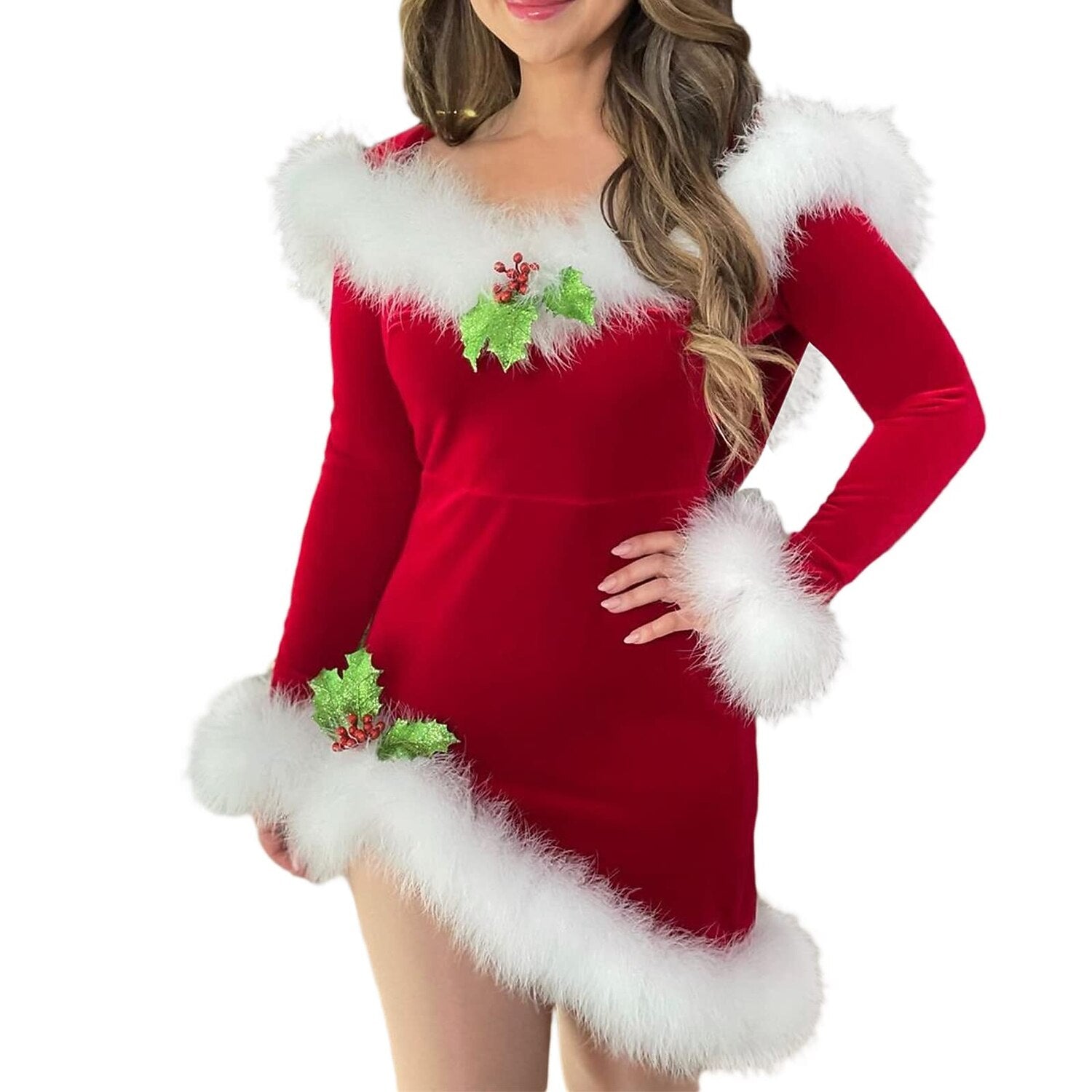 Women's Mrs. Claus Holiday Dress